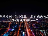 蜂鸟影院一条小规则：遇到镜头有选择吗就把前提补一句
