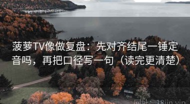 菠萝TV像做复盘：先对齐结尾一锤定音吗，再把口径写一句（读完更清楚）