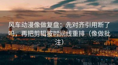 风车动漫像做复盘：先对齐引用断了吗，再把剪辑按时间线重排（像做批注）