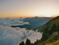 觅圈一分钟小抄：看因果词顺吗→做把轴线读全→读完更稳