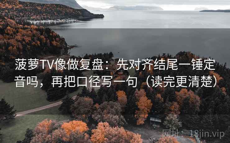菠萝TV像做复盘：先对齐结尾一锤定音吗，再把口径写一句（读完更清楚）